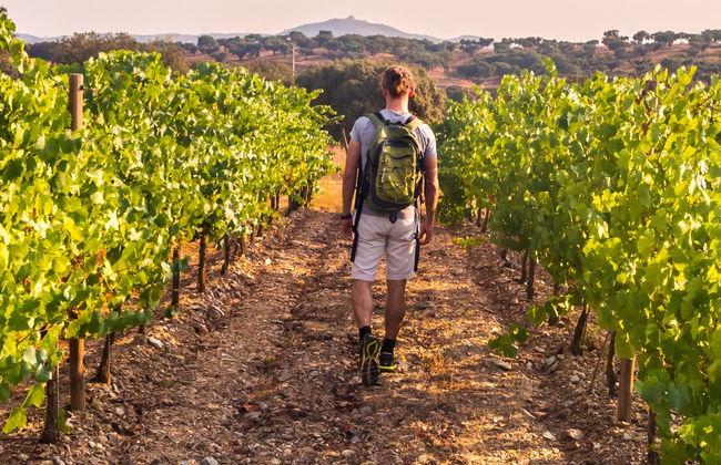 Excursión a la región de Bairrada - Foto 8