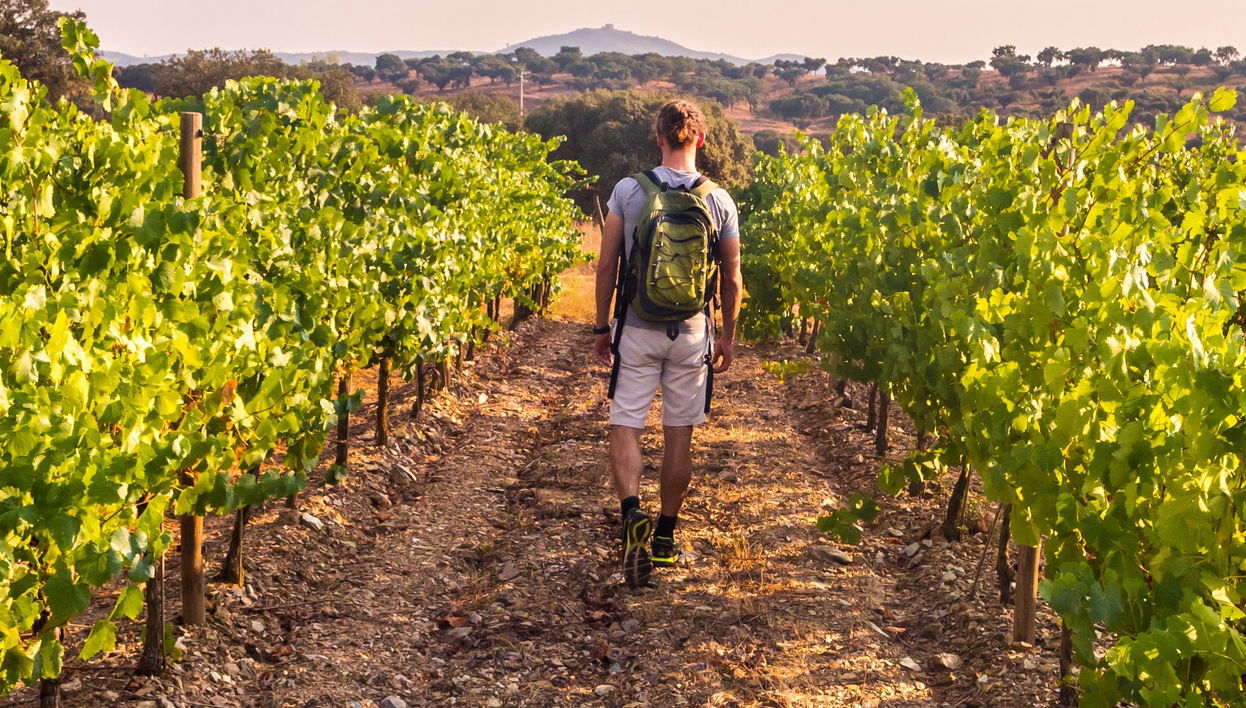 Escursione nella regione della Bairrada
