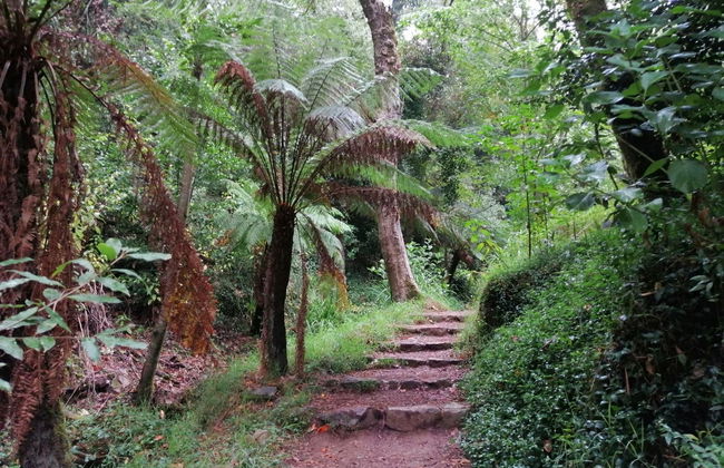 Excursión a la región de Bairrada - Foto 6