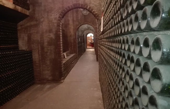 Excursión a la región de Bairrada - Foto 4