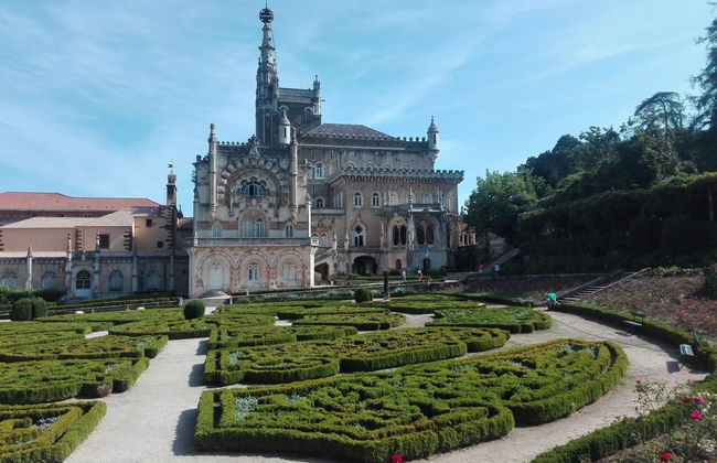 Excursión a la región de Bairrada - Foto 7
