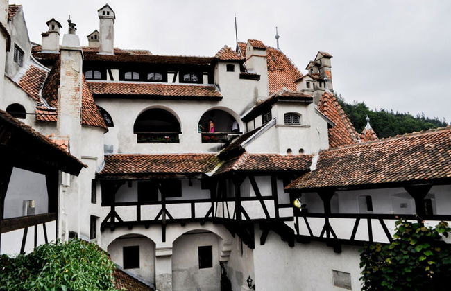 Escursione al castello di Dracula e Peles - Foto 2