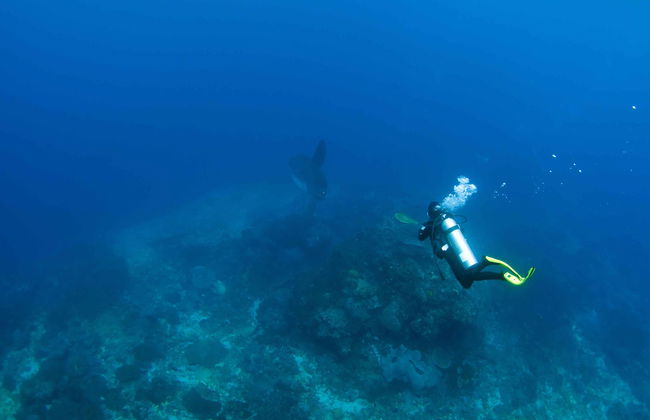 PADI Open Water Diving Course - Foto 5