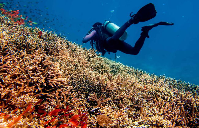 PADI Open Water Diving Course - Foto 7