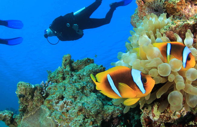 Curso de buceo PADI Open Water - Foto 4