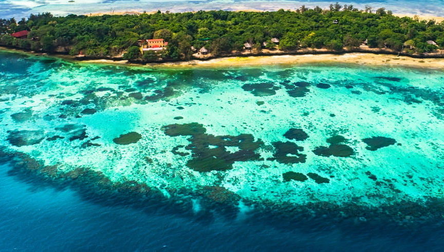 Stone Town & Prison Island Tour - Foto 1