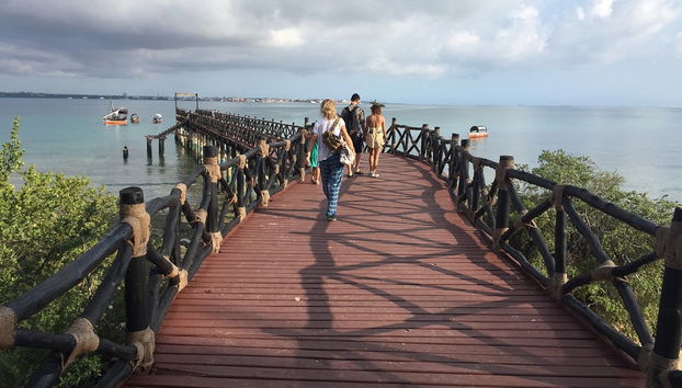 Stone Town & Prison Island Tour - Foto 2