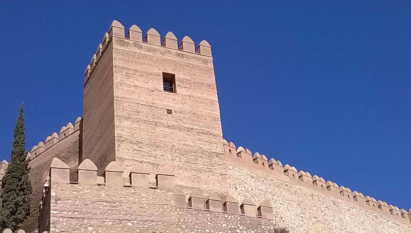 Alcazaba Guided Tour - Foto 2