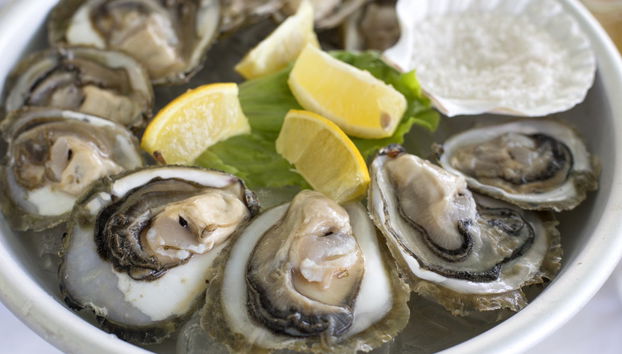 Ston Day Trip & Wine Tasting - Foto 3