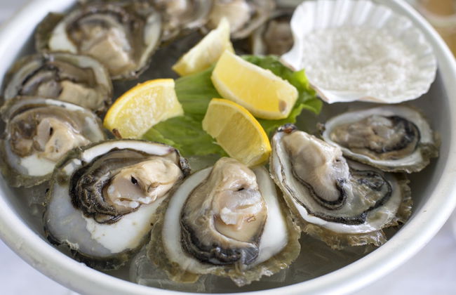 Ston Day Trip & Wine Tasting - Foto 3