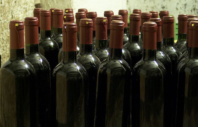 Ston Day Trip & Wine Tasting - Foto 4