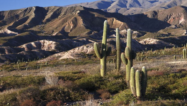 Bishop's Slope Day Trip - Foto 4