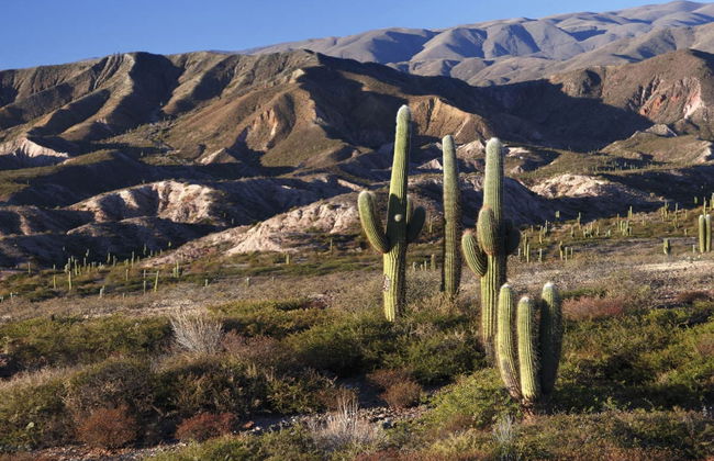 Bishop's Slope Day Trip - Foto 4