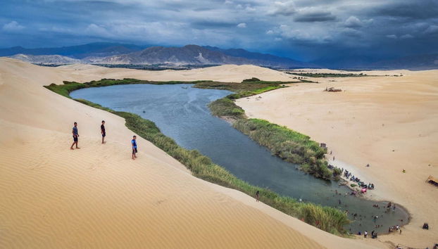 Paracas Private Day Trips - Foto 4