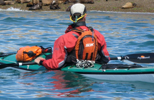 Excursion en kayak et observation des otaries - Photo 8