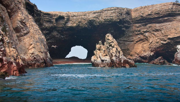 Ballestas Islands Tour - Photo 2