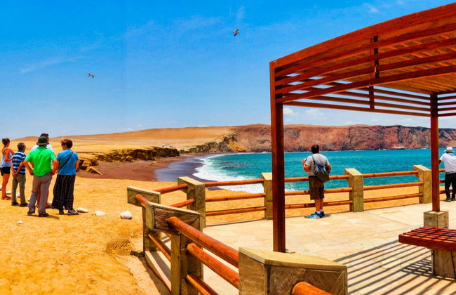 Excursión privada desde Ica - Foto 6