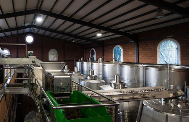 Visita a las bodegas Las Encomiendas - Foto 5