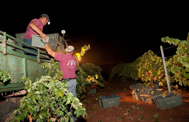 Visita a las bodegas Las Encomiendas - Foto 4