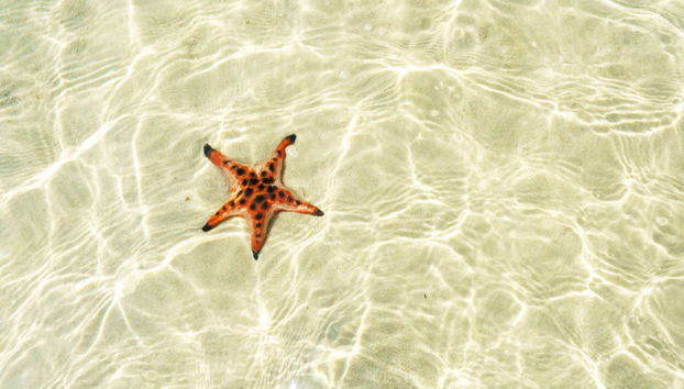 Phu Quoc North Island Tour - Photo 2