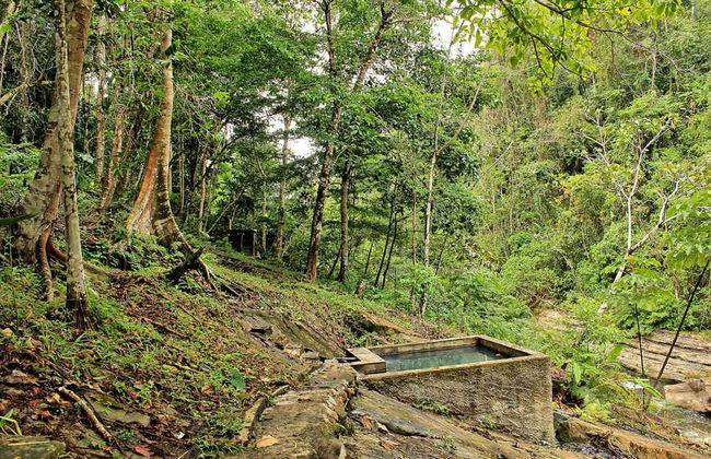 Excursão a Chazuta - Foto 3