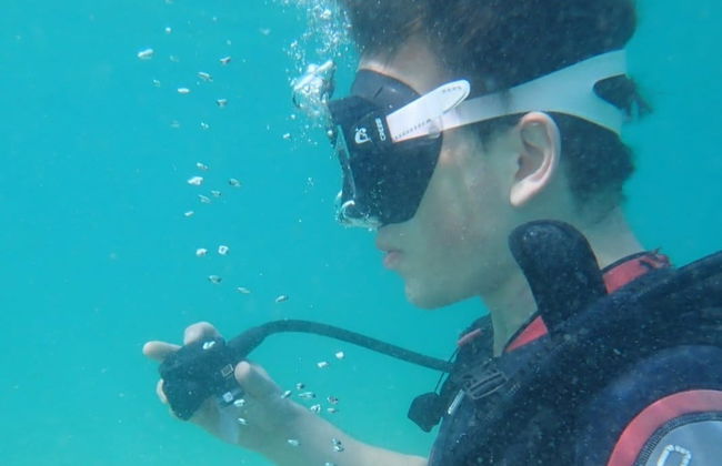 Bautismo de buceo en la isla de Sal - Foto 2