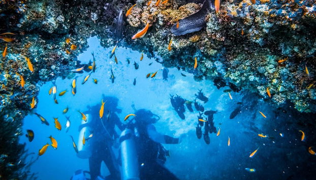 Cape Verde Diving - Foto 3
