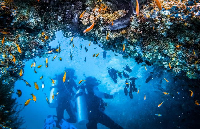 Cape Verde Diving - Foto 3