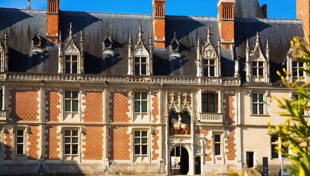 Entrada al castillo de Blois sin colas - Foto 3