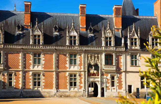 Entrada al castillo de Blois sin colas - Foto 3