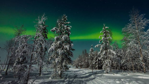 Paseo en trineo de perros husky bajo la aurora boreal - Foto 2