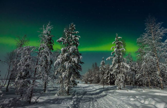 Balade en traîneau tiré par des chiens huskies sous les aurores boréales - Photo 2