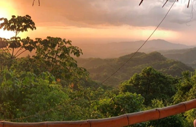 Senderismo por la Selva de Minca - Foto 8