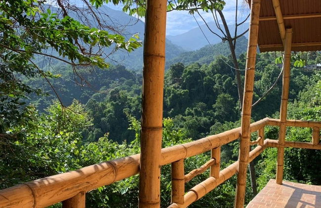 Senderismo por la Selva de Minca - Foto 7