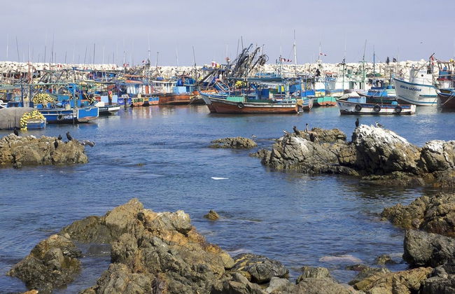 Excursion à Puerto Grau, aux zones humides d'Ite et aux collines de Tacahuay - Photo 1