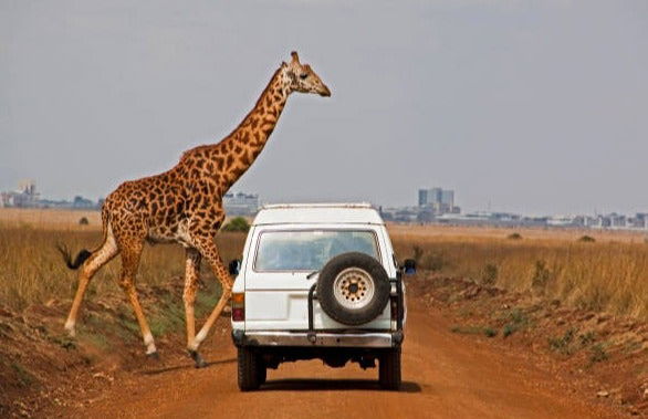 Amboseli National Park Private Safari - Photo 2