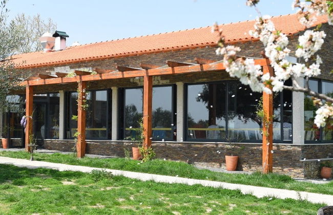 Quinta da Avessada Winery Tour - Photo 6