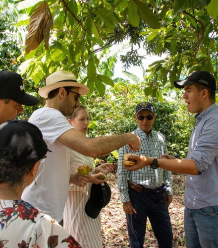 Foto de Tour del cacao por la finca El Argel