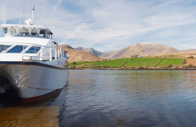 Killary Fjord Boat Tour - Foto 4