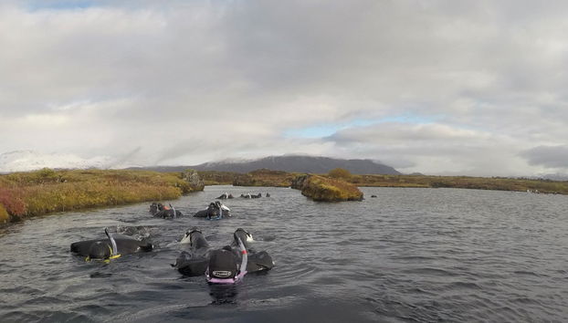 Snorkeling nella faglia di Silfra - Foto 3