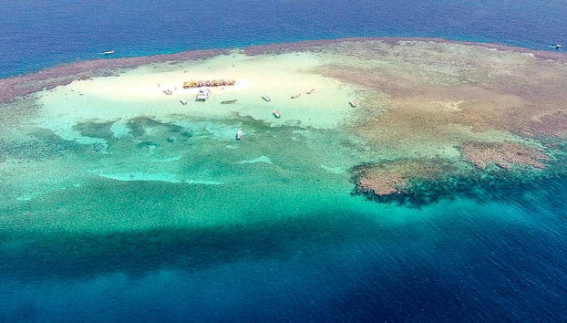 Excursión a Cayo Arena - Foto 5