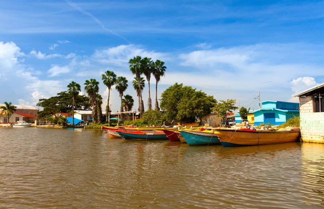 Excursion à Black River et Cascades YS - Photo 1