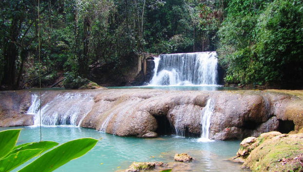 Excursion à Black River et Cascades YS - Photo 2