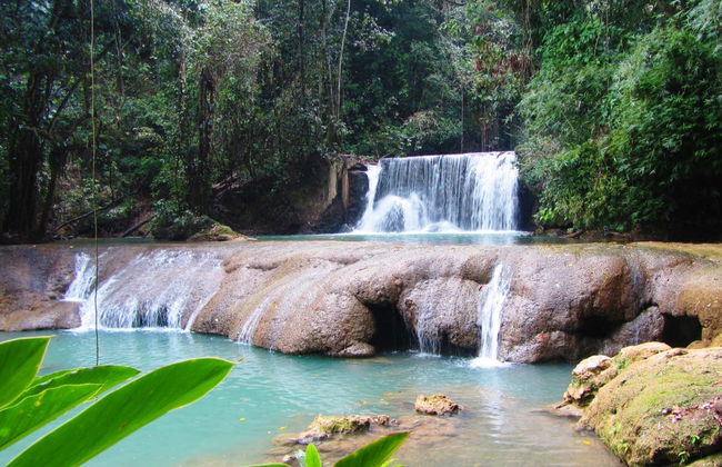 Excursion à Black River et Cascades YS - Photo 2