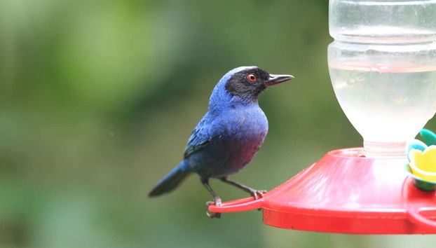 Yanacocha Reserve Tour - Photo 3