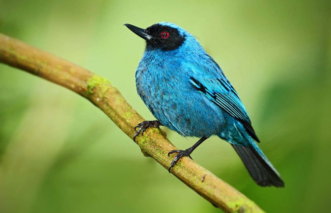 Excursión a la Reserva Yanacocha - Foto 1