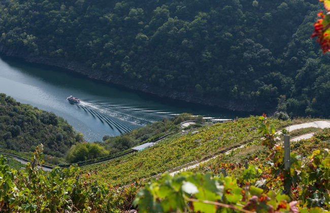 Escursione alla Ribeira Sacra - Foto 6