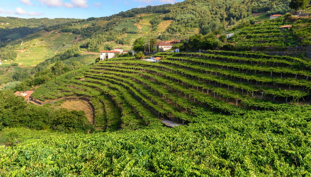 Ribeira Sacra Tour - Photo 5