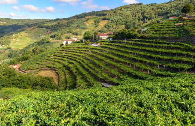 Escursione alla Ribeira Sacra - Foto 5