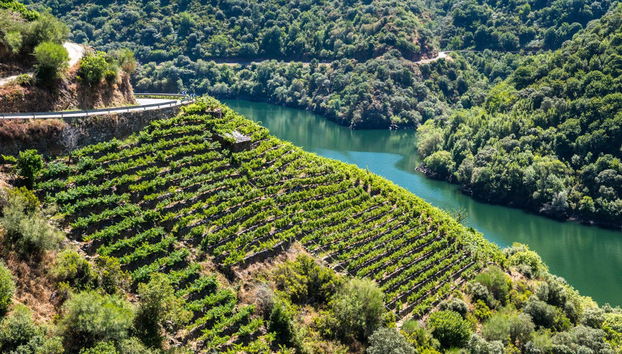 Ribeira Sacra Tour - Photo 2
